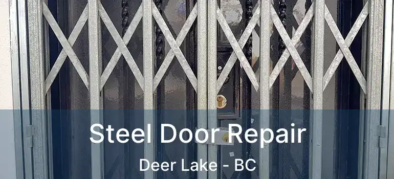  Steel Door Repair Deer Lake - BC