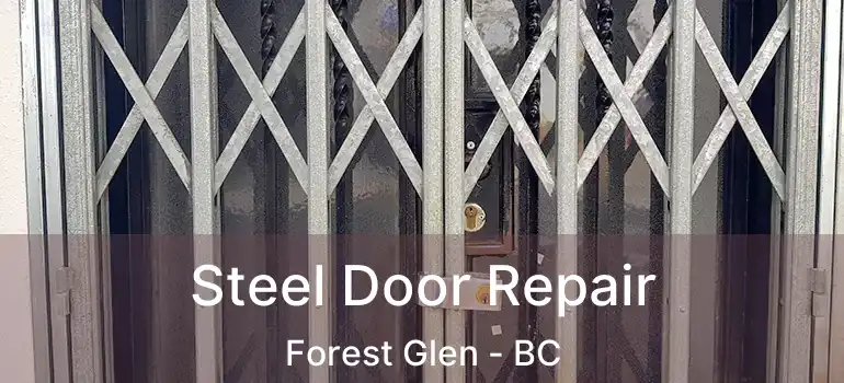  Steel Door Repair Forest Glen - BC
