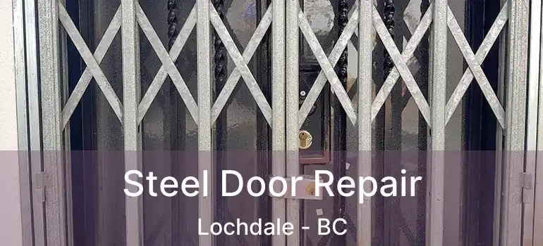  Steel Door Repair Lochdale - BC