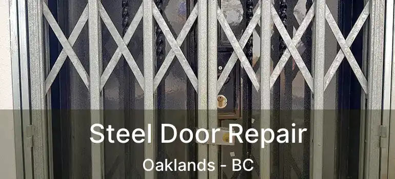  Steel Door Repair Oaklands - BC
