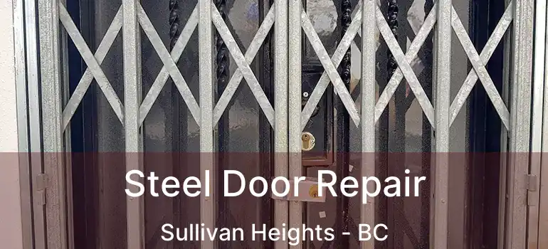  Steel Door Repair Sullivan Heights - BC
