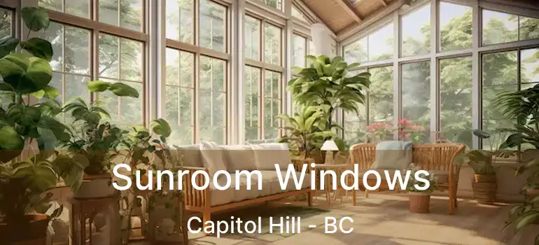  Sunroom Windows Capitol Hill - BC