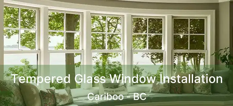  Tempered Glass Window Installation Cariboo - BC