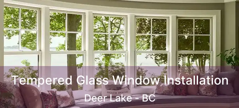  Tempered Glass Window Installation Deer Lake - BC