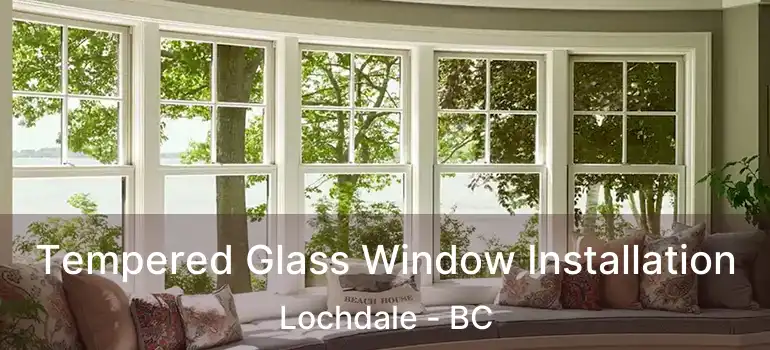  Tempered Glass Window Installation Lochdale - BC
