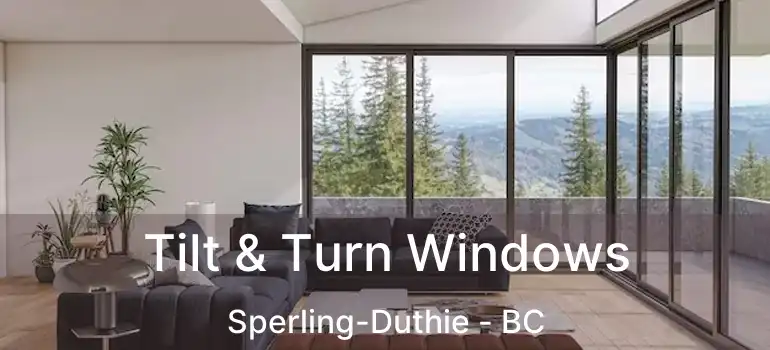  Tilt & Turn Windows Sperling-Duthie - BC