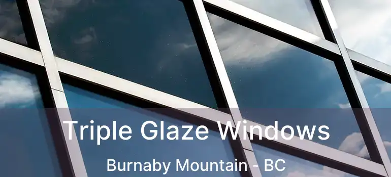  Triple Glaze Windows Burnaby Mountain - BC