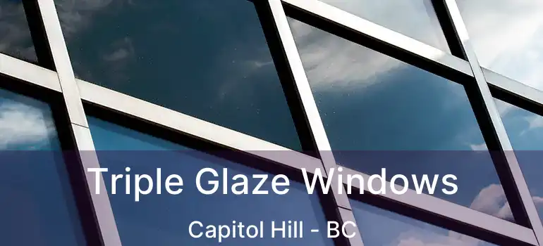  Triple Glaze Windows Capitol Hill - BC