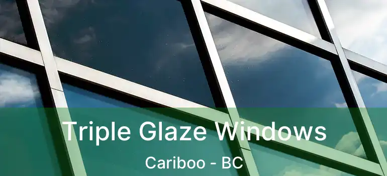  Triple Glaze Windows Cariboo - BC