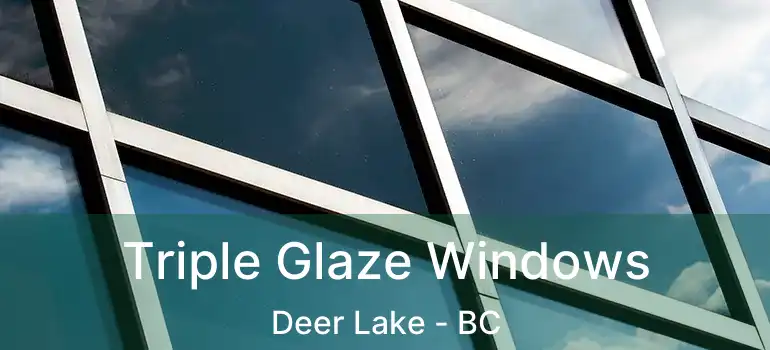  Triple Glaze Windows Deer Lake - BC