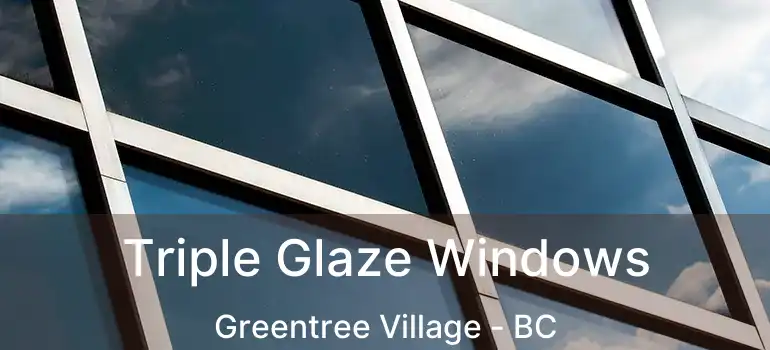  Triple Glaze Windows Greentree Village - BC