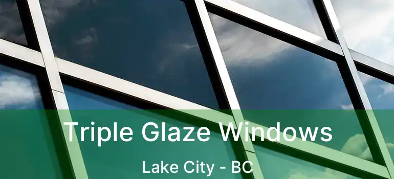  Triple Glaze Windows Lake City - BC