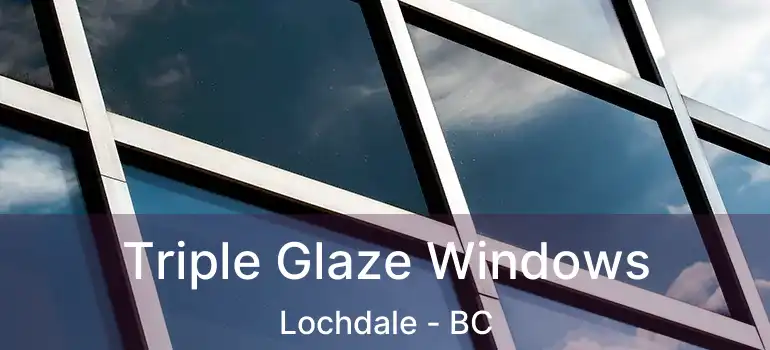  Triple Glaze Windows Lochdale - BC
