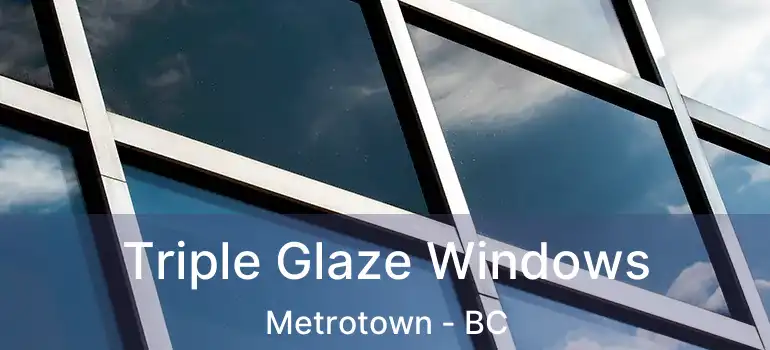  Triple Glaze Windows Metrotown - BC