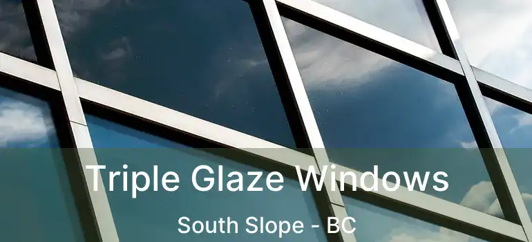  Triple Glaze Windows South Slope - BC