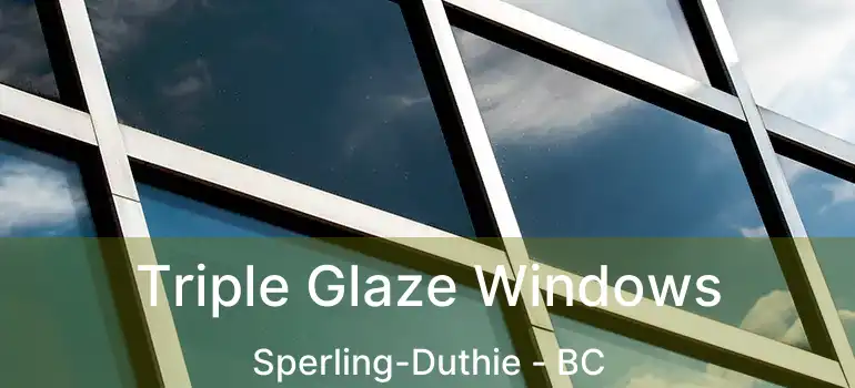  Triple Glaze Windows Sperling-Duthie - BC