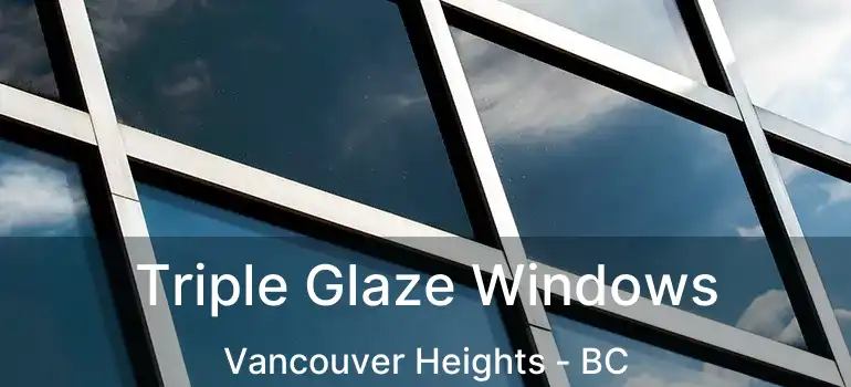  Triple Glaze Windows Vancouver Heights - BC