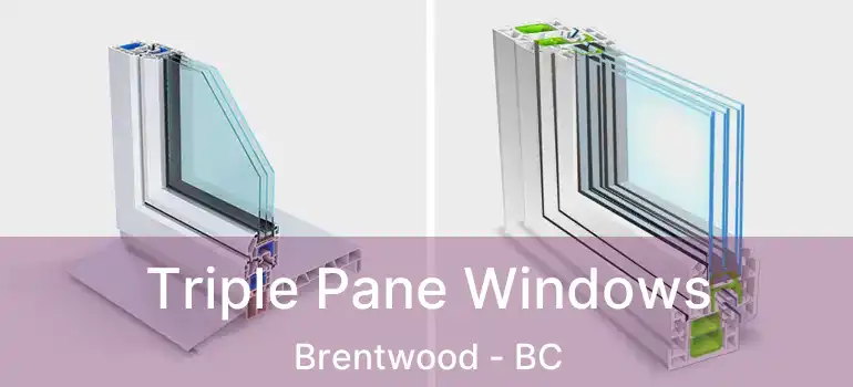  Triple Pane Windows Brentwood - BC