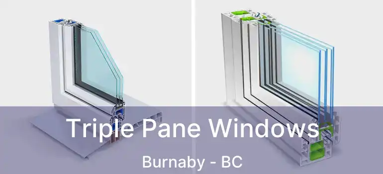  Triple Pane Windows Burnaby - BC