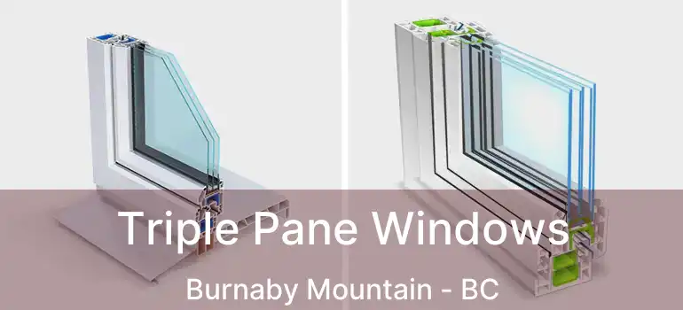  Triple Pane Windows Burnaby Mountain - BC