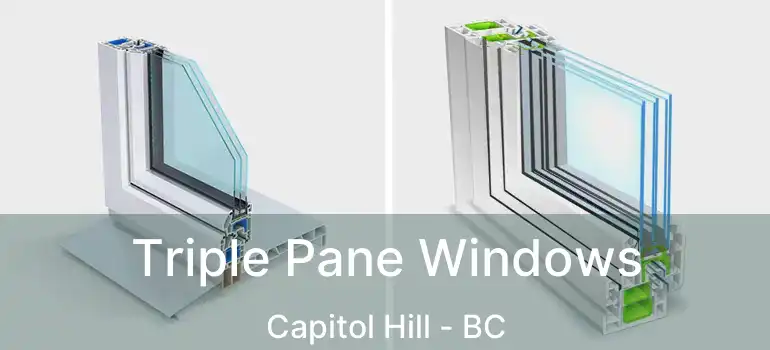  Triple Pane Windows Capitol Hill - BC