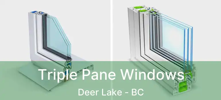  Triple Pane Windows Deer Lake - BC