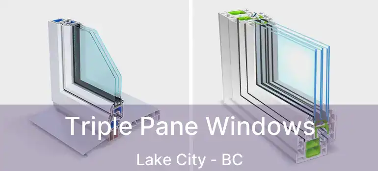  Triple Pane Windows Lake City - BC
