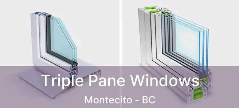  Triple Pane Windows Montecito - BC