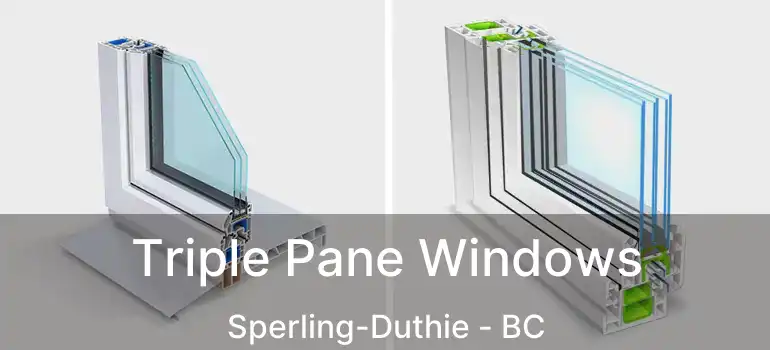  Triple Pane Windows Sperling-Duthie - BC