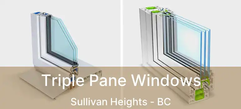  Triple Pane Windows Sullivan Heights - BC