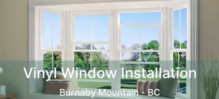  Vinyl Window Installation Burnaby Mountain - BC
