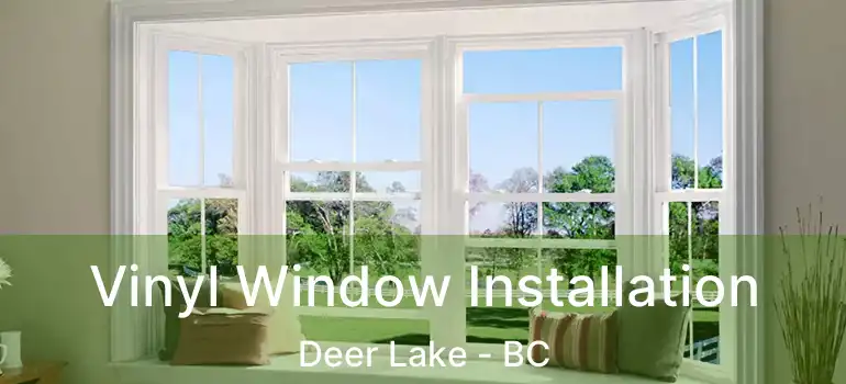  Vinyl Window Installation Deer Lake - BC