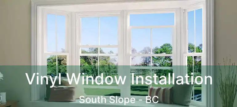  Vinyl Window Installation South Slope - BC