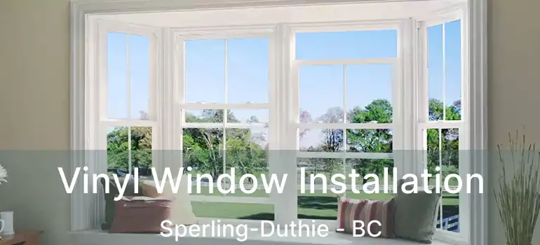  Vinyl Window Installation Sperling-Duthie - BC