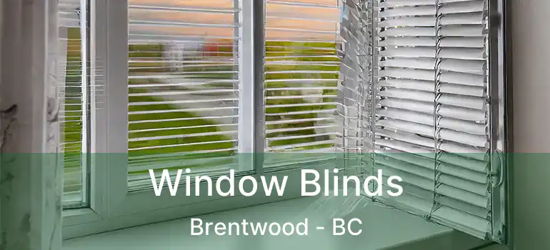  Window Blinds Brentwood - BC