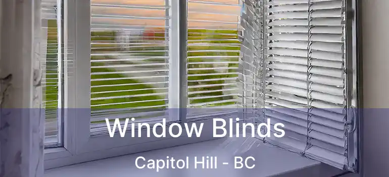  Window Blinds Capitol Hill - BC