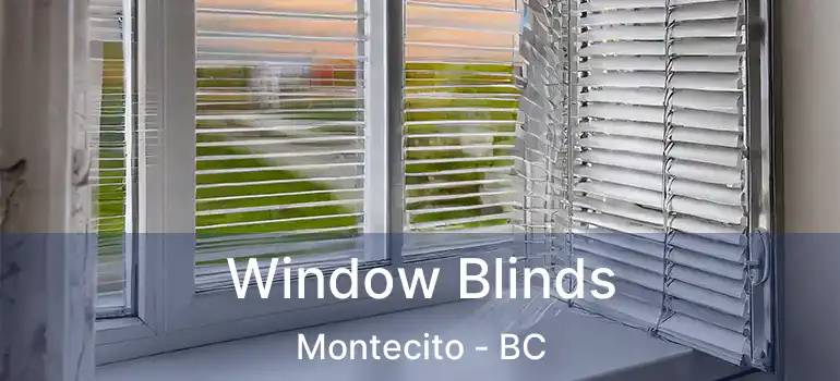  Window Blinds Montecito - BC