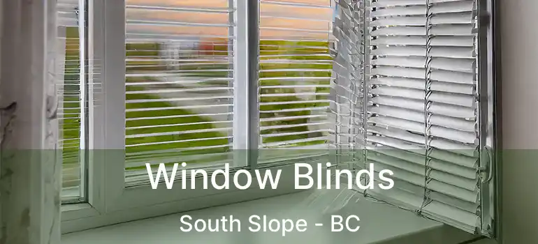  Window Blinds South Slope - BC