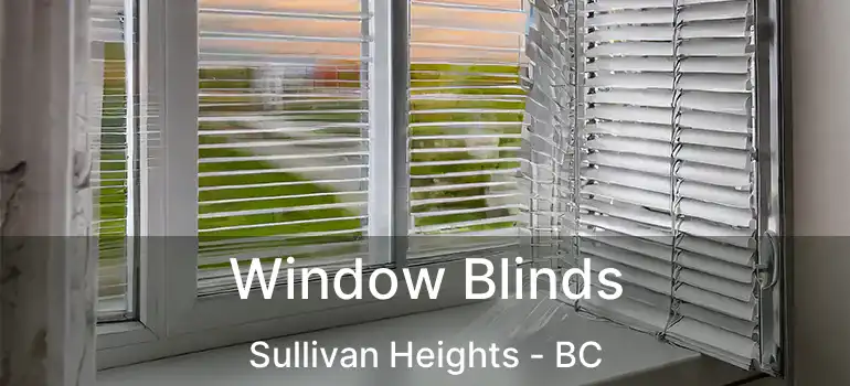  Window Blinds Sullivan Heights - BC