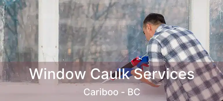  Window Caulk Services Cariboo - BC