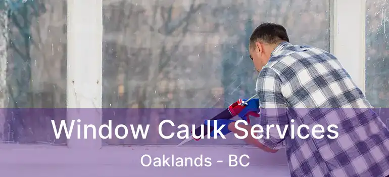  Window Caulk Services Oaklands - BC