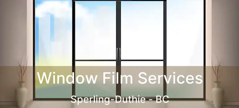  Window Film Services Sperling-Duthie - BC