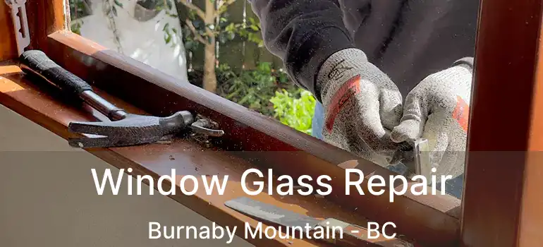  Window Glass Repair Burnaby Mountain - BC