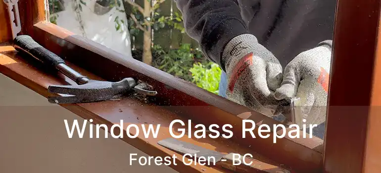  Window Glass Repair Forest Glen - BC