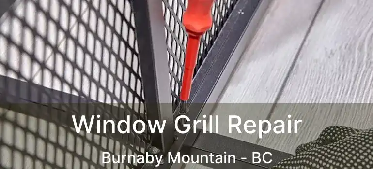  Window Grill Repair Burnaby Mountain - BC