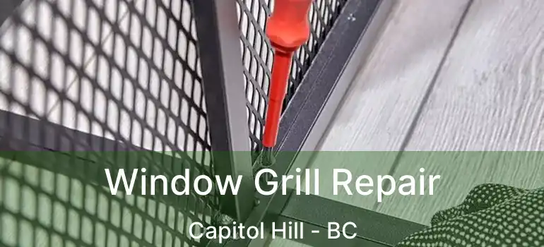  Window Grill Repair Capitol Hill - BC