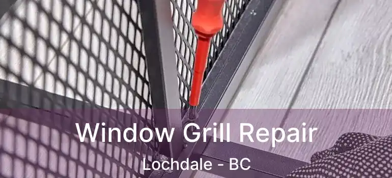  Window Grill Repair Lochdale - BC
