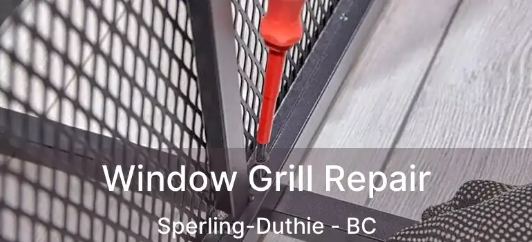  Window Grill Repair Sperling-Duthie - BC