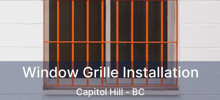  Window Grille Installation Capitol Hill - BC