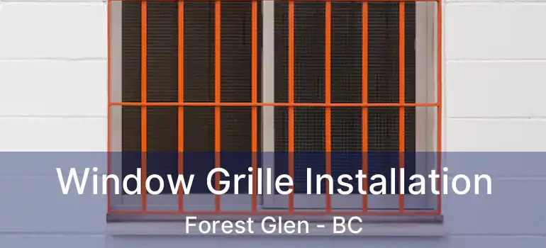 Window Grille Installation Forest Glen - BC